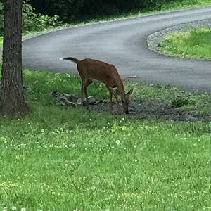 Meet your Posher, Gary